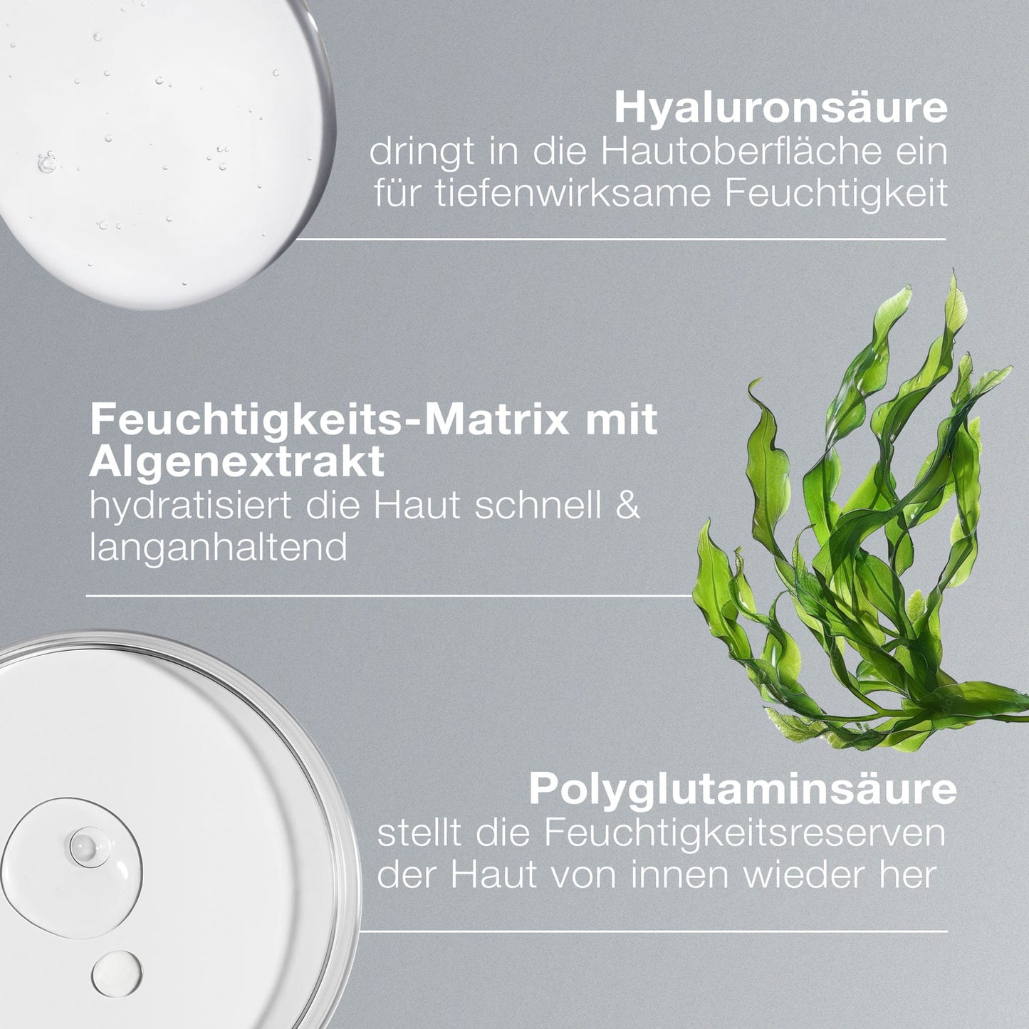 Die Nahaufnahme der klaren Flüssigkeit, der Grünalgen und des deutschen Textes hebt die feuchtigkeitsspendenden Vorteile des Circular Hydration Serum mit Hyaluronsäure, Algenextrakt und Polyglutaminsäure für eine verbesserte Hautfeuchtigkeit hervor.